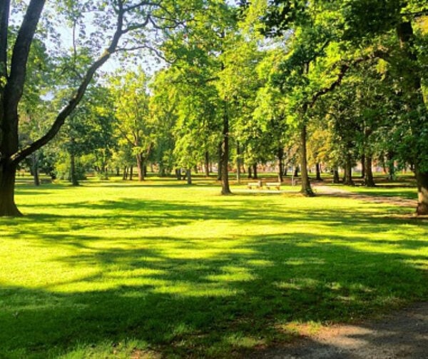 parc2